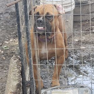 Meet your Posher, Charles